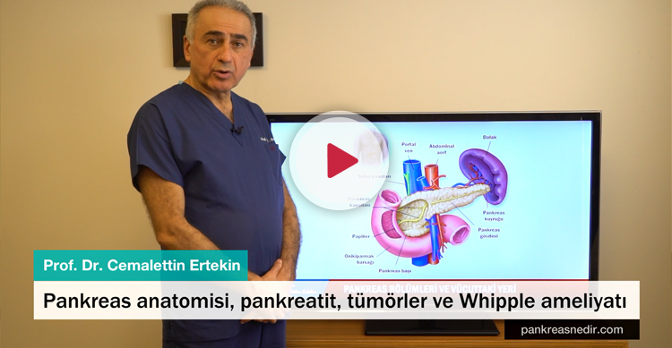 Pankreas anatomisi, pankreatit, tümörler ve Whipple ameliyatı